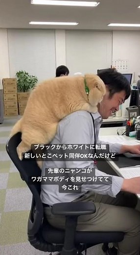 マジでナイスバディすぎる🥺仕事にならなくて困ってた笑 重くないんですかね？ #転職したい #転職 #転職活動 #ホワイト企業