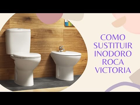 Sustituir taza inodoro Roca victoria