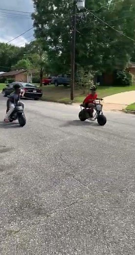 Predator 212 hemi vs predator 212 non-hemi