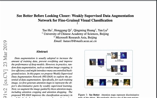 【论文讲解+复现 更新中】WS-DAN WSDAN（Weakly Supervised Data Augmentation Network）