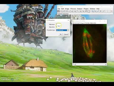 ImageJ Tutorial: How to merge z stack slices into one