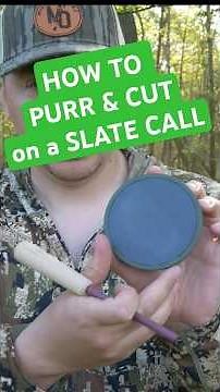How to PURR and CLUCK on a SLATE Turkey Call (Easy Tutorial)#Turkeycall #shorts #callingtips #hunt