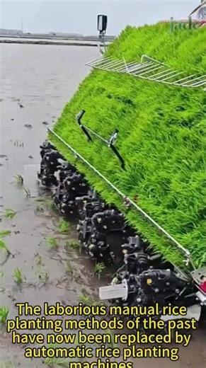 Automatic rice transplanter #machine #wheelsaw #farming #manmachineworks