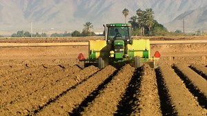 ¿Cómo lo hacen?, ver online episodios completos gratis