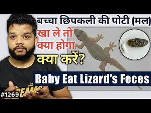 बच्चे ने छिपकली का मल खा लिया क्या रिस्क है क्या करें | Baby Eat Lizard's Feces In Hindi