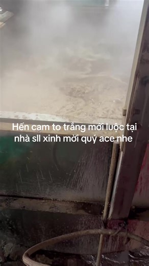 Video của Phát Hến (@pht.hn2) với bản nhạc nhạc nền - Thái Việt ngoan