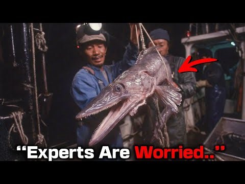 Japanese Fishermen Stopped Filming After Pulling This Creature Up and What Happened Next Is Shocking