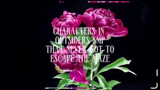 Exploring the Outsiders SMP Experience in Minecraft