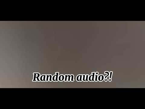Random audio i found on roblox (feel free to use)