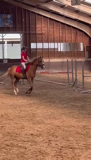 Some vids of my jumping lesson with Zodi today! He was super good❤️‍🔥💗💋
