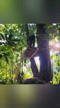 Old Man Builds an INSANE Treehouse in the Deep Amazon Jungle 🌳🔥 | Ultimate Survival Skills!