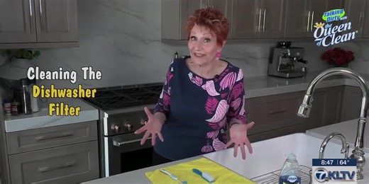 Queen of Clean: Cleaning dishwasher filters