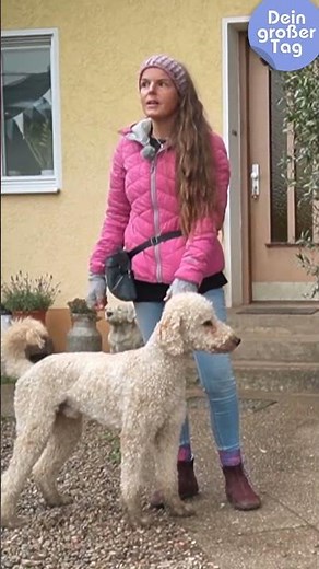 Ein Job für Hunde? Ausbildung zum Blindenführhund! 🐕‍🦺 | Dein großer Tag #shorts