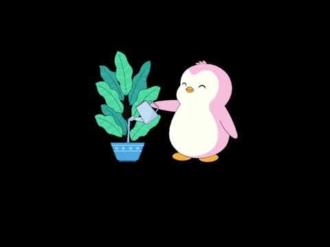 Medicinal plant extraction methods