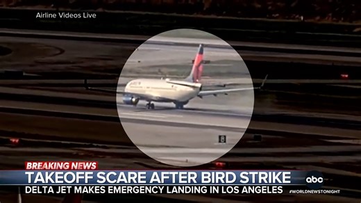 A bird strike damaged the engine of a Delta flight during takeoff with 99 people on board. The pilot immediately declared an emergency and safely returned to Los Angeles International Airport. Trevor Ault has the latest. https://abcnews.link/CGOlEWd | ABC World News Tonight with David Muir