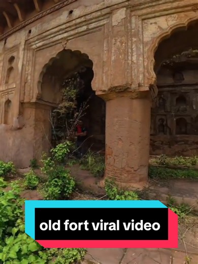 Old Fort Viral Video: What Happened in the Old Fort Clip