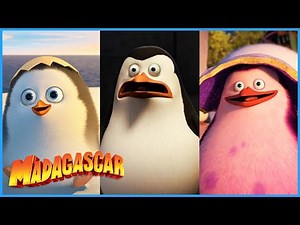 The Story of Private 🐧 | DreamWorks Madagascar