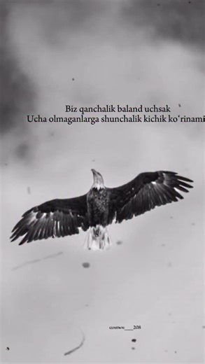 @cosmos___208 on Instagram: "Kichik❗️ 1997년 개봉한 영화 Titanic은 잭과 로즈의 운명적인 사랑을 통해 비극 속에서도 오래 남는 감정의 깊이를 보여주는 작품입니다. 화려한 연출보다 인물의 감정에 더 집중한 제임스 카메론 감독의 스타일은 지금 다시 봐도 묘하게 가슴을 울리죠. 배가 침몰하는 장면이 아닌, 두 사람이 서로를 바라보던 순간들이 더 강하게 기억에 남는 영화이기도 합니다. 이 감정을 완성해주는 곡이 바로 셀린 디온의 *“My Heart Will Go On”*입니다. 처음 들으면 잔잔한데, 어느 순간 자연스럽게 가슴이 벅차오르는 느낌을 줍니다. 특히 후반부의 고조되는 보컬은 영화 속 잭과 로즈의 마지막 장면과 겹쳐지면서 괜히 마음이 서늘해지기도 하고요. 많은 분들이 “이 노래가 나오면 왜 그 장면이 자동으로 떠오르는지 모르겠다”고 말하는데, 그만큼 영화와 음악이 자연스럽게 얽혀 있는 곡입니다. 1998년 아카데미 주제가상을 비롯해 여러 상을