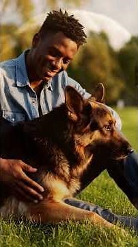 Your dog’s weird staring habit has a secret meaning