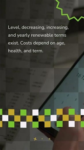 What is term life insurance?