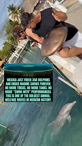 No more tricks and no more tanks . No more swim with performances. This is one of the boldest animal welfare moves in modern history. Tavi Castro & 🥁 Pan drum Nicolas Neduchal | Tavi Castro