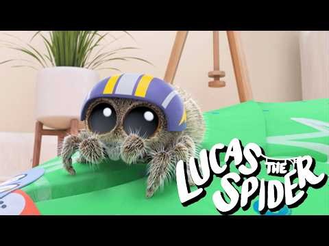 Lucas the Spider's Big Crashing Moments + More Cartoons for Kids