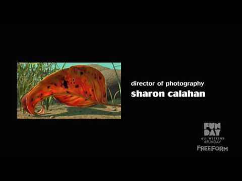 A Bug's Life End Credits (FreeForm Version)