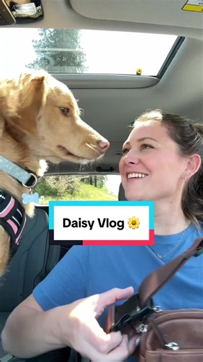 Best thing I ever did for my mental health (besides medication🤪) is get Daisy! #puppyvlog #playinginwater #dogsoftiktok #firstexperience #vlog #doglife