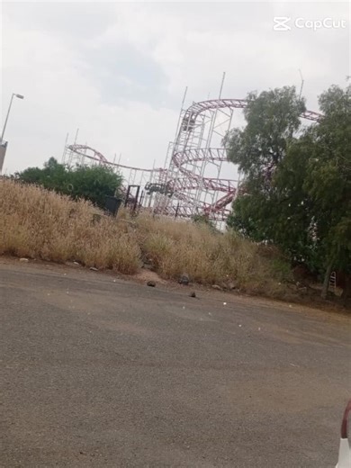 TikTok Insights: Explore snssdk1233 Features