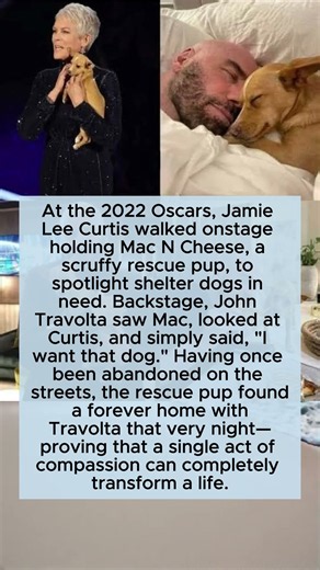 The Rescue Story of Mac N Cheese