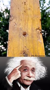 8.7K views · 21K reactions | Sigma teacher -Albert Einstein #reels #trending #instagram #viral #instagramreels #question #education #viralreels #puzzleaddict | Anup Sahani | Facebook