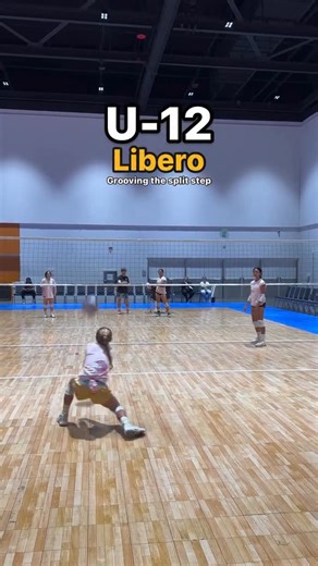 NOEZYBUCKETS | Volleyball on Instagram: "📩Comment or DM us ‘guide’ to get the free Libero guide today! When should the split step be taught? 🙌🏻 Great work @kaeley_vb ❤️ It seems that for softball, baseball and tennis it is one of the first skills that are athletes are taught. Should we also teach it at a young age for volleyball athletes? What do you think the benefits are?"