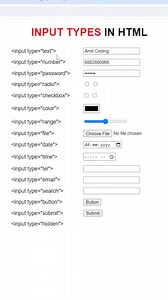 Input Type in HTML #html #viralreelsfb | STP Computer Education