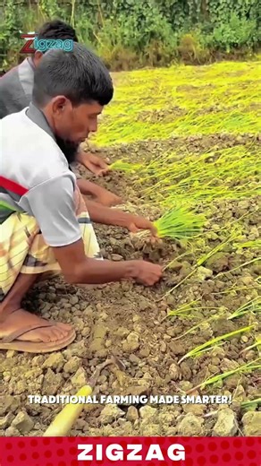 Manual Hand Weeding Tool for Precision Crop Transplanting