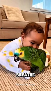 38K views · 1.2K reactions | 藍列Help! I’m Being Squeezed Like Toothpaste! #parrot #funny #funnyparrot | Soccer LOL Arena | Facebook