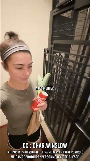 💀 When you live on the top floor in Paris…