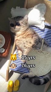 1.3M views · 10K reactions | Cat Years ➡️ Human Years #facts | Pet lovers | Facebook