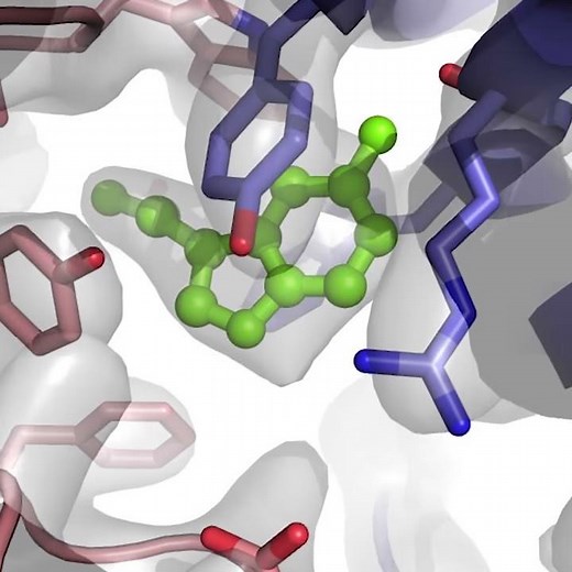 The Titan Krios Cryo-Electron Microscope at the ESRF