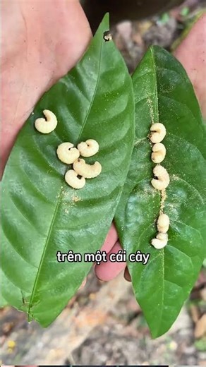 She made the worst decision while in the woods 😮