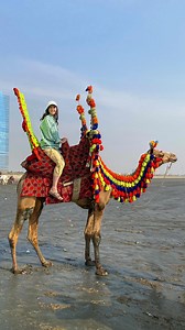 Clifton beach. Sea view Karachi🏝️😎🐪 . . . #karachi #pakistan #karachiites #lahore #islamabad #kashmir #karachistreetstyle #karachilife #view #travel #history #karachipakistan #cityoflights #instatravel #pakistanstreetstyle #explore #karachigram #ramadakarachi #karachicity #pakistanzindabad #pakistani_tik_tok #travelpakistan #pakistanshoping #pakistaniclothes #pakistanistyle #cliftonbeach #seaview #seaviewkarachi #camel #camelinkarachi | Jenny & Mohsin