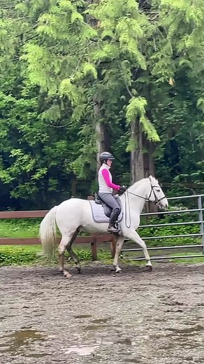 Developing Collection in Canter | Dressage Progress