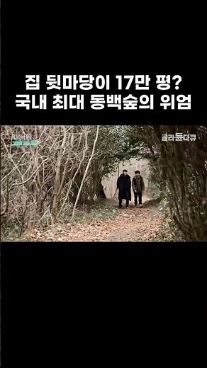 집 뒷마당이 17만 평 국내 최대 동백숲의 위엄 #골라듄다큐 #shorts