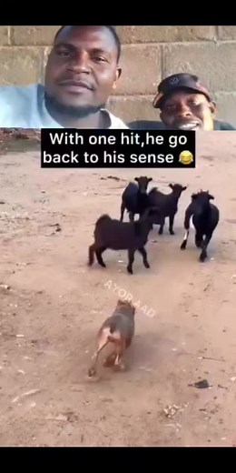 Whit one hit.... ��� | Maxwell Linking