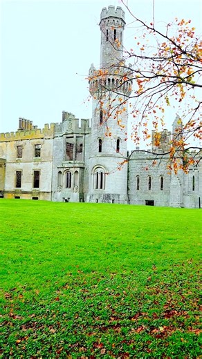 Duckett's Grove, November 2025 🍂 📷 travel_dime #Ireland #Carlow #History | Duckett's Grove