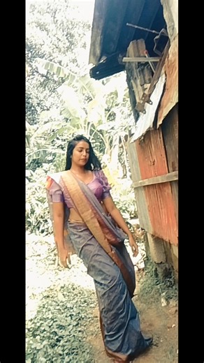 Belly Dance Performance in Saree Style