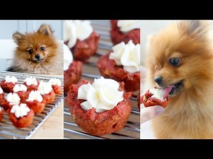 Red Velvet Cupcakes FOR DOGS!! | RECIPE