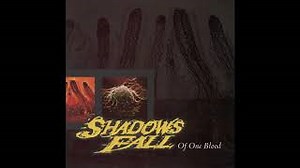 TO ASHES Lyrics - SHADOWS FALL | eLyrics.net