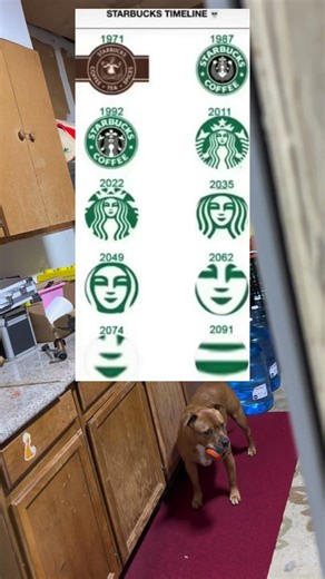 Starbucks timeline logo #fyp