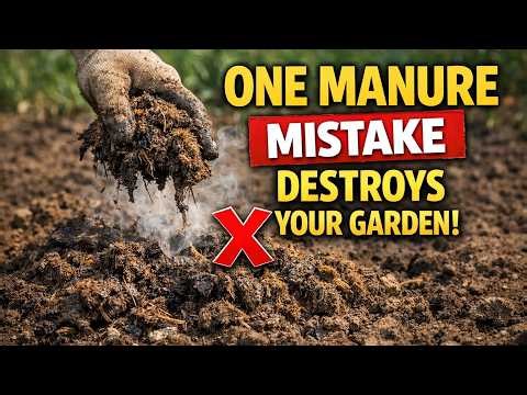 Manure Disaster! Are You Making These 5 Garden-Killing Mistakes?