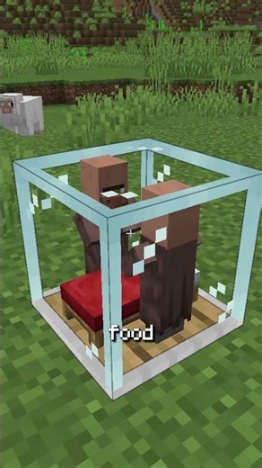 This mod lets you kidnap villagers! #minecraft